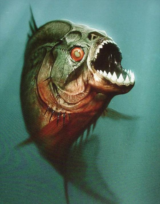 电影食人鱼3D完整在线观看